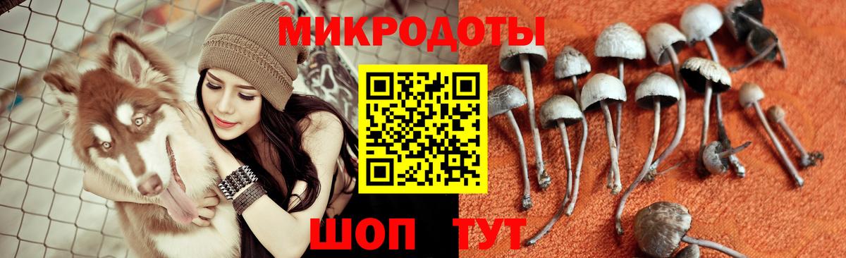 МЕФ   Гашиш  Экстази  КОКАИН  Альфа ПВП СОЛЬ кристаллы  MDMA  Гашиш  Гурьевск  Вход с VPN  NBOMe  Бошки Шишки  МЕТАДОН 