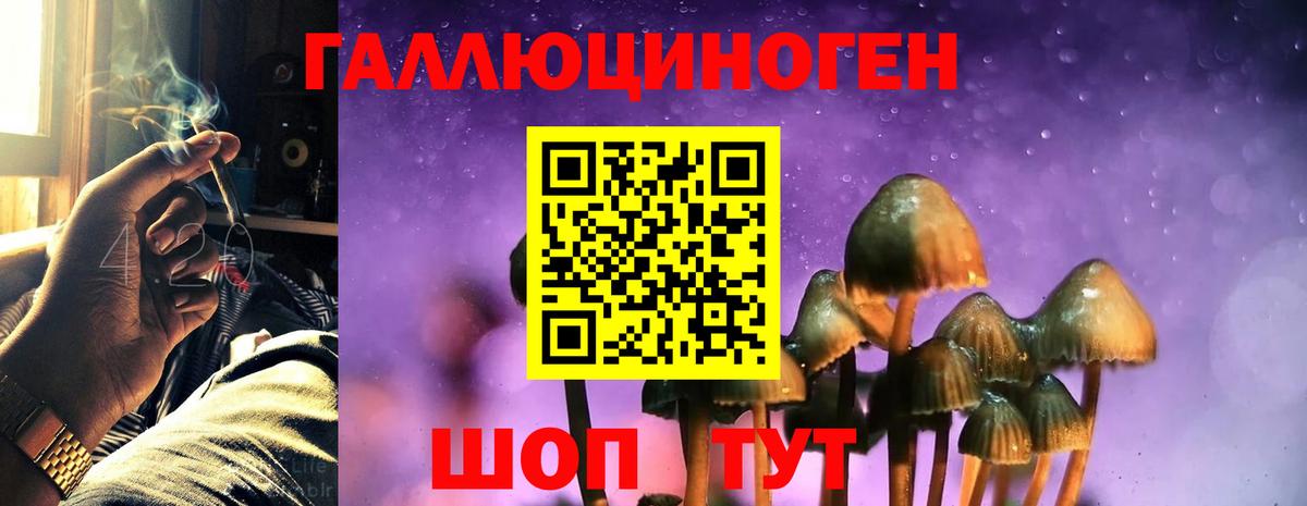 Гурьевск  Псилоцибиновые грибы MAGIC MUSHROOMS  Вход с VPN 